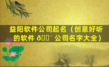 益阳软件公司起名（创意好听的软件 🐴 公司名字大全）